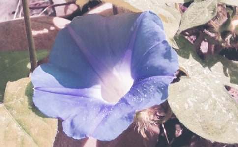 �߰��Ġ�ţ������