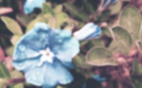 �����T(m��n)����ţ������3ƪ