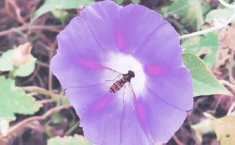 ��ţ�����ġ�����