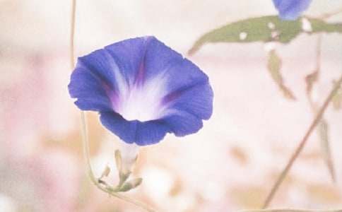 �����͠������n��˼