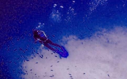 ��ˮ����˼��ʲô ��ˮ�Č�(zhu��n)�I(y��)�g(sh��)�Z(y��)�ͷN�(l��i)