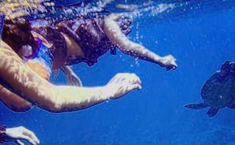 ��ˮ��(y��u)������