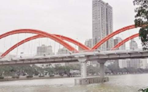 �������̌������