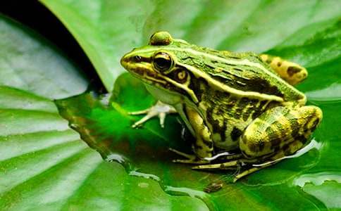 ���܌�Ԋ�̌W(xu��)�O(sh��)Ӌ(j��)