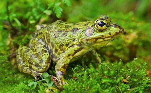 ���ܵ���������