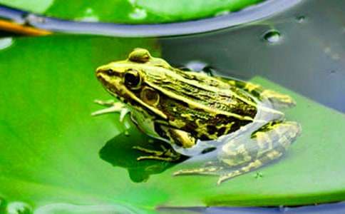 �P(gu��n)�����ܵ�����