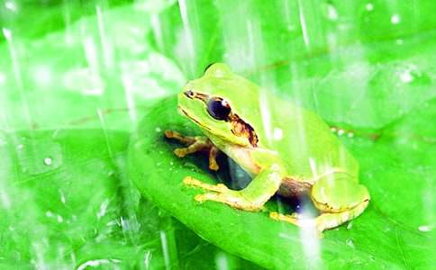 ���܌�Ԋ(sh��)�̌W(xu��)�O(sh��)Ӌ(j��)