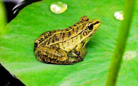 �����܌�(xi��)Ԋ(sh��)���̌W(xu��)�O(sh��)Ӌ(j��)�R����15ƪ��