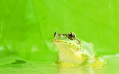 С���ܚv�Uӛ����