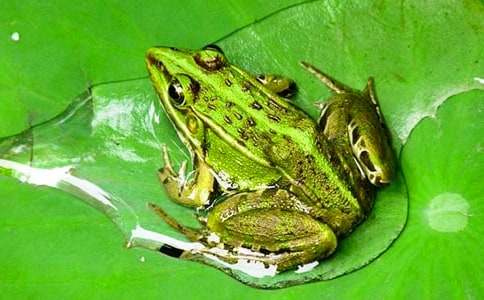 �ɐ۵���������