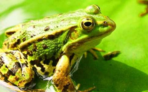 �x������܊�F(tu��n)�۵����и�15ƪ