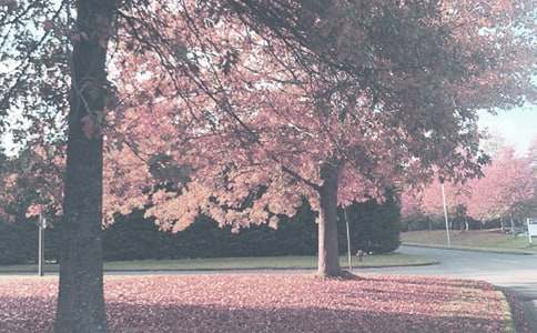 �＾�H�ӻ�ӷ��������x4ƪ��