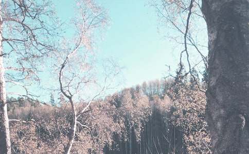 С�W(xu��)�＾�V����