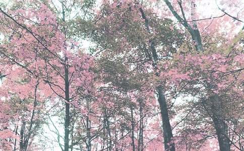 �＾��������Ӌ��