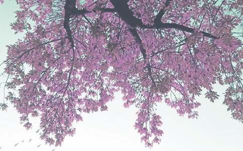 �＾�W(xu��)��С��༉(j��)�������Y(ji��)