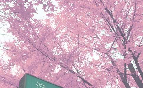 ����＾��(g��)������Ӌ(j��)����ô��