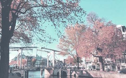 �＾���b���̕�(hu��)��Ո(q��ng)�����ϡ�3ƪ��