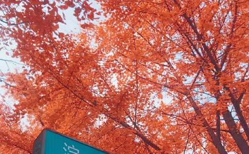 ����˽�Z����15ƪ