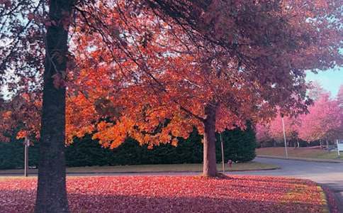 ����˼�Z����