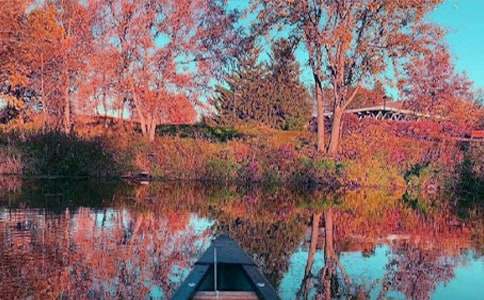 �������Մٴ������ă�(y��u)�x��4ƪ��