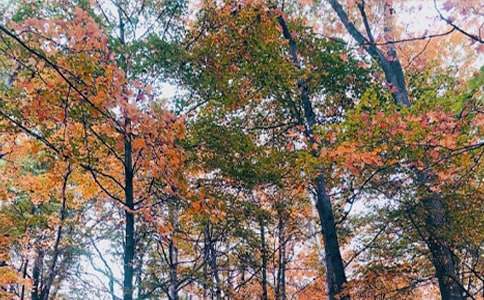 ����˽�Z(y��)���~