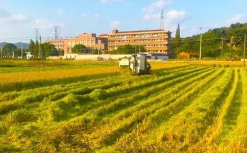 ���r(n��ng)���պ�(ji��n)��(b��o)(15ƪ)