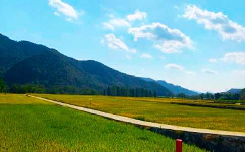 �������r(n��ng)���󣨱؂�29ƪ��