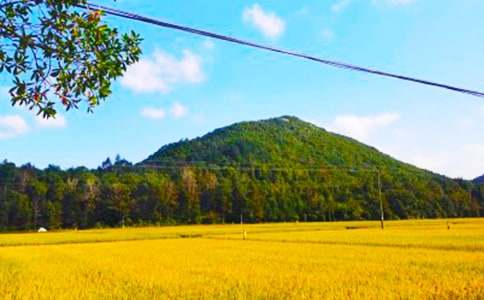 ���r(n��ng)���պ�(ji��n)��(b��o)�����x22ƪ��