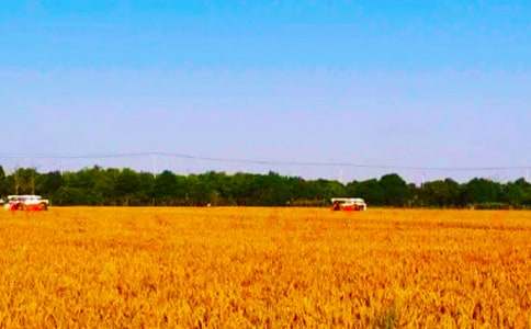 ���r(n��ng)���յĺ�(ji��n)��(b��o)(��Ʒ)