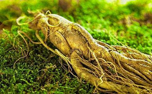 ����ӛ͵���˅����ľ���Ƭ��