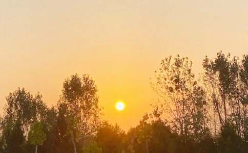 1��1�ճ�������ʲô����