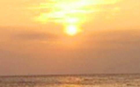 �P(gu��n)�����������