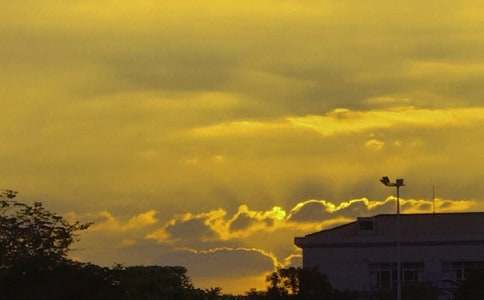 �������������