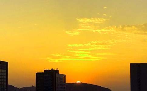 ��������ĺϼ�(15ƪ)