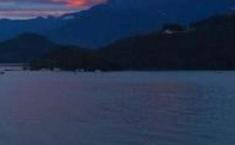 �_������̶����