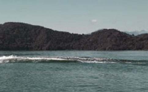 ������̶���n�Ľ̌W(xu��)�O(sh��)Ӌ(j��)��(y��u)��