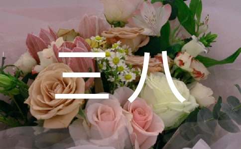 ���˼t�켯�w���M���E������^(q��)