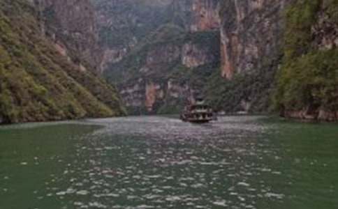 ���{���[�ĵ��w��