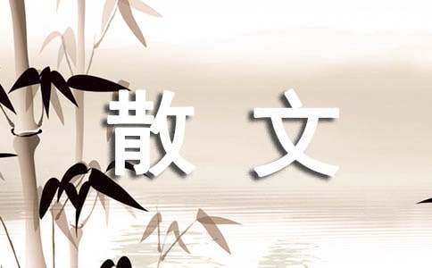 ����һ�궬��ɢ��800��