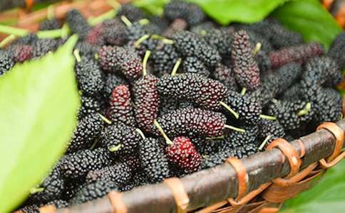 ���r(n��ng)���ժɣ��С�W����