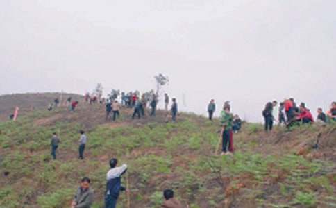 ������Ĺ��ӛ