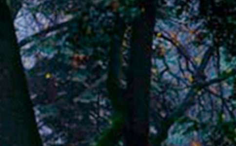 ɭ��֮�����ġ���4ƪ��