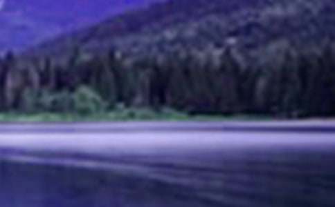 �P(gu��n)��ɽˮ����