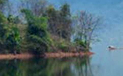 �茑ɽˮ��Ψ��Ԋ(sh��)��