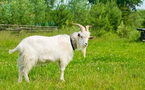 ɽ�򲻳����ò��x���