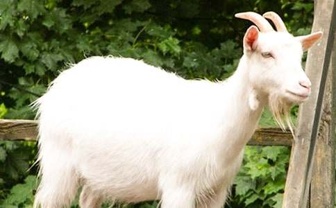 �xɽ�򲻳����ò��и�15ƪ