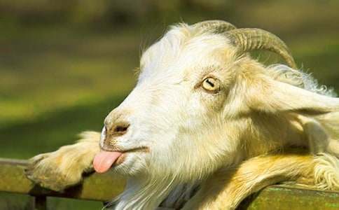 (�ϼ�)ɽ�򲻳����ò��x���15ƪ