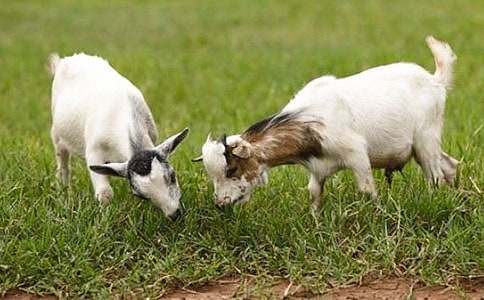 ɽ�򲻳����ò��x���[ͨ��]