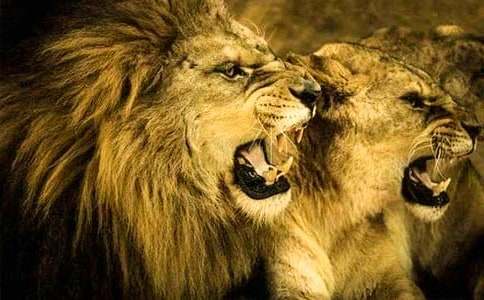 �{���֌�(d��o)���~14ƪ