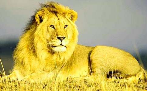 �����x���{���ֵČ�(d��o)���~